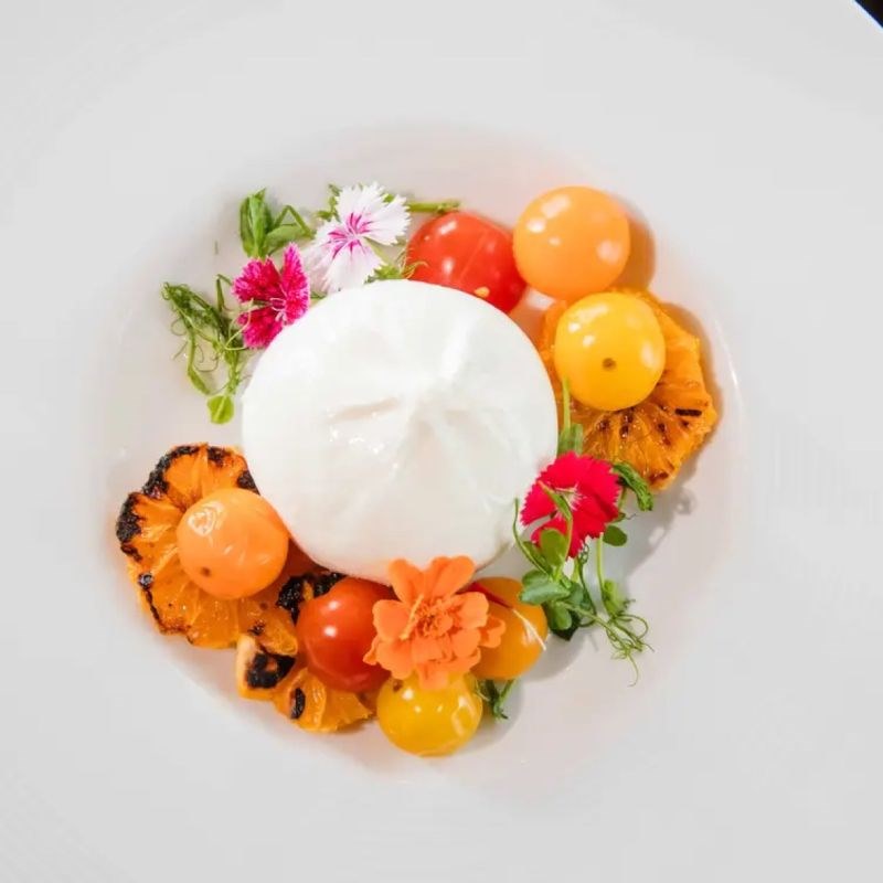 Burrata