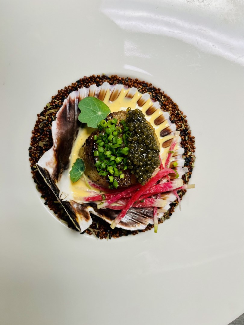 Diver Scallop